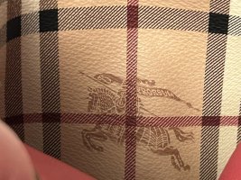 IMG_0228.jpeg