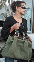 halleberrybag.jpg
