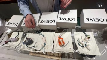 IMG_1575.jpeg