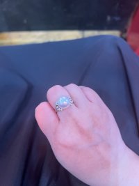 IMG_7569.jpeg