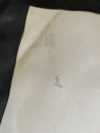 IMG_9115.jpeg