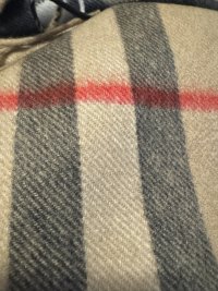 IMG_1805.JPEG
