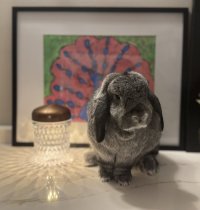 IMG_7850.jpeg