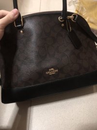 IMG_0208.jpeg