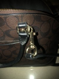 IMG_0214.jpeg