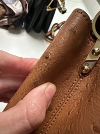 IMG_7258.jpeg