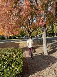 IMG_3081.jpeg
