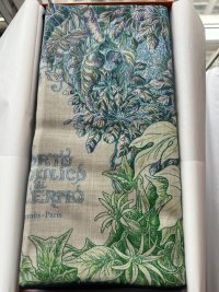 Hermes All'Orto Botanico di Palermo Shawl CW 8 - 1.jpg