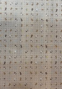IMG_1750.jpeg