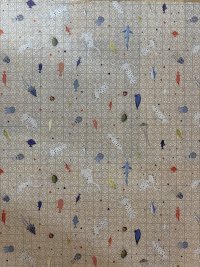 IMG_1752.jpeg