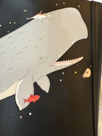 IMG_1762.jpeg
