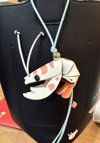 IMG_1765.jpeg