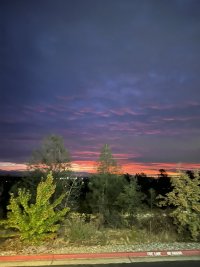 IMG_3188.jpeg IMG_3188.jpeg