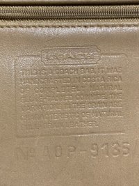 IMG_8183.jpeg