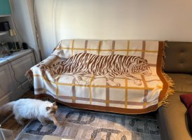 IMG_5633.jpeg