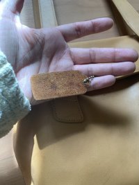 IMG_6551.jpeg