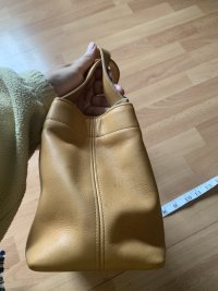 IMG_6564.jpeg