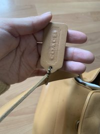 IMG_6566.jpeg