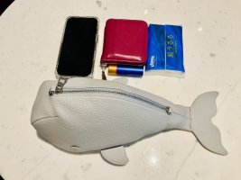 IMG_1337.jpeg