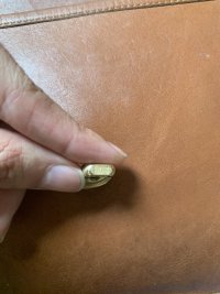 IMG_6559.jpeg