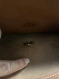 IMG_6560.jpeg