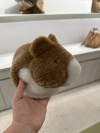 IMG_4537.jpeg
