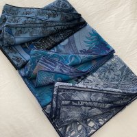 Hermes - CSGMs - blues 1.jpeg