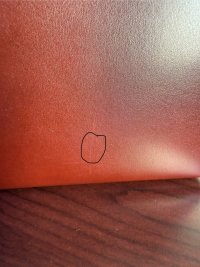 IMG_1743.jpeg