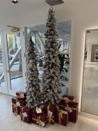 IMG_3685.jpeg