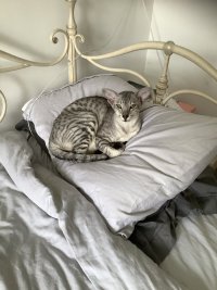 IMG_0845.jpeg