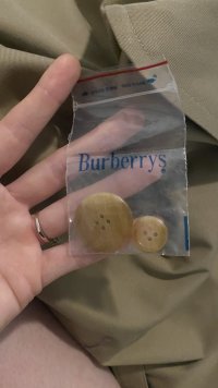 IMG_6239.jpeg