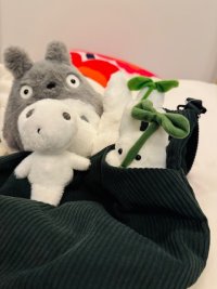 IMG_1579.jpeg