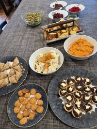 IMG_1555.jpeg