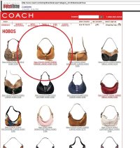 Suede Hobo Wayback Machine 2004.jpg