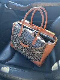 IMG_4927.jpeg