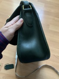 IMG_7332.jpeg