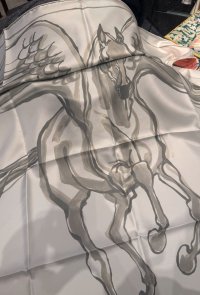 IMG_7173.jpeg