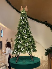 IMG_2989.jpeg