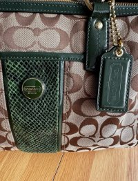 IMG_0659.jpeg