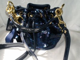 sequin014.jpg