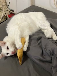IMG_0600.jpeg
