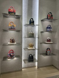 IMG_3240.jpeg