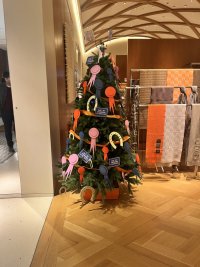 IMG_3160.jpeg