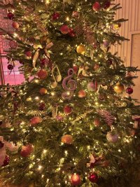 IMG_0495.jpeg