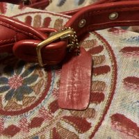 IMG_4282.jpeg