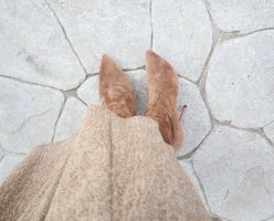 IMG_7165.JPG