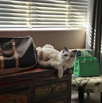 IMG_5120.jpeg