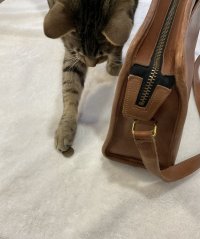 IMG_1551.jpeg