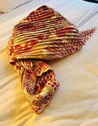 IMG_7131.jpeg