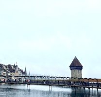 IMG_6533.jpeg